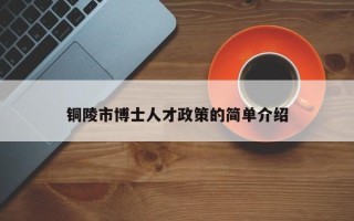 铜陵市博士人才政策的简单介绍