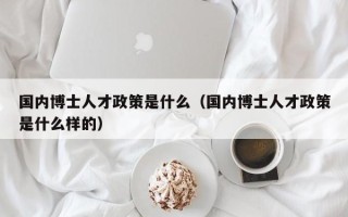 国内博士人才政策是什么（国内博士人才政策是什么样的）