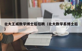 北大王威数学博士后招聘（北大数学系博士后）