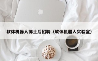 软体机器人博士后招聘（软体机器人实验室）