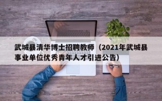 武城县清华博士招聘教师（2021年武城县事业单位优秀青年人才引进公告）