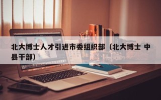 北大博士人才引进市委组织部（北大博士 中县干部）