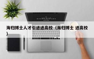 海归博士人才引进进高校（海归博士 进高校）