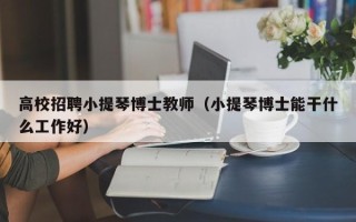 高校招聘小提琴博士教师（小提琴博士能干什么工作好）