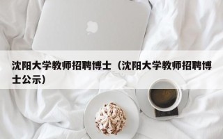 沈阳大学教师招聘博士（沈阳大学教师招聘博士公示）