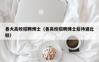 各大高校招聘博士（各高校招聘博士后待遇比较）