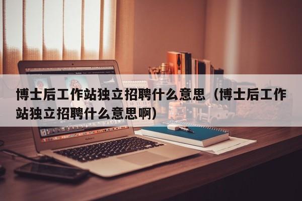 博士后工作站独立招聘什么意思（博士后工作站独立招聘什么意思啊）-第1张图片-博士人才招聘网
