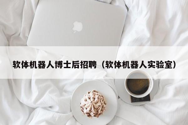软体机器人博士后招聘（软体机器人实验室）-第1张图片-博士人才招聘网
