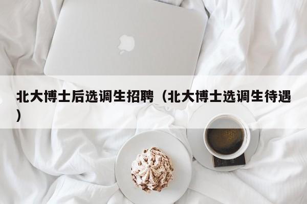 北大博士后选调生招聘（北大博士选调生待遇）-第1张图片-博士人才招聘网