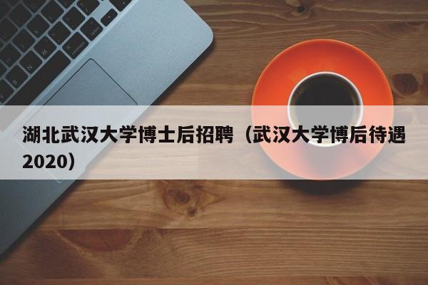 湖北武汉大学博士后招聘（武汉大学博后待遇2020）-第1张图片-博士人才招聘网