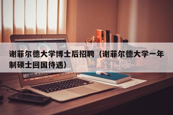 谢菲尔德大学博士后招聘（谢菲尔德大学一年制硕士回国待遇）-第1张图片-博士人才招聘网