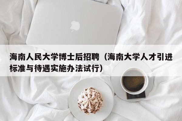 海南人民大学博士后招聘（海南大学人才引进标准与待遇实施办法试行）-第1张图片-博士人才招聘网