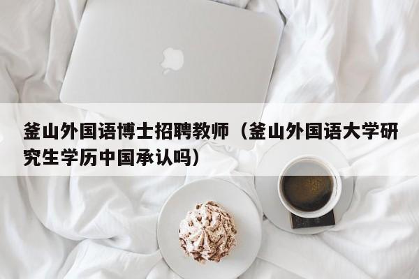 釜山外国语博士招聘教师（釜山外国语大学研究生学历中国承认吗）-第1张图片-博士人才招聘网