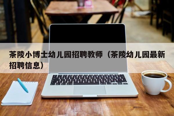 茶陵小博士幼儿园招聘教师（茶陵幼儿园最新招聘信息）-第1张图片-博士人才招聘网