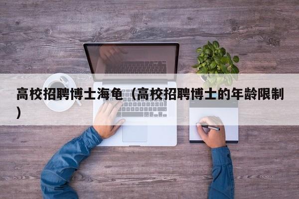 高校招聘博士海龟（高校招聘博士的年龄限制）-第1张图片-博士人才招聘网