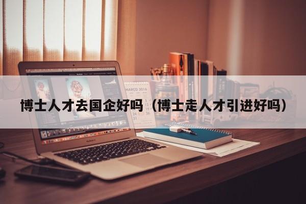 博士人才去国企好吗（博士走人才引进好吗）-第1张图片-博士人才招聘网