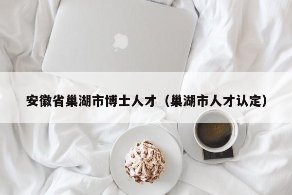 安徽省巢湖市博士人才（巢湖市人才认定）-第1张图片-博士人才招聘网
