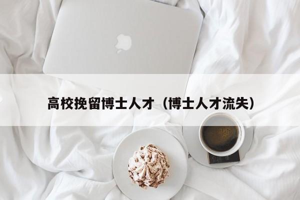 高校挽留博士人才（博士人才流失）-第1张图片-博士人才招聘网