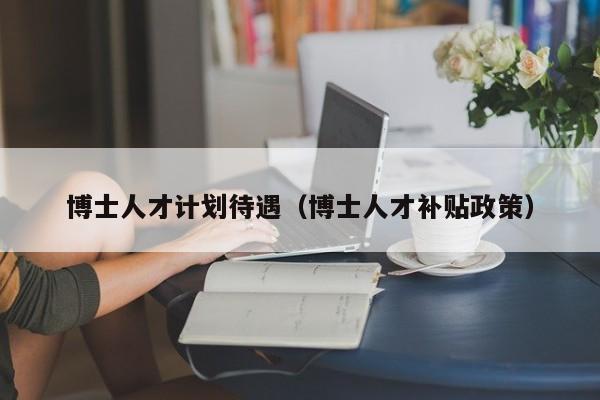 博士人才计划待遇（博士人才补贴政策）-第1张图片-博士人才招聘网