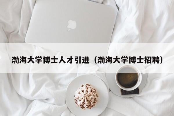渤海大学博士人才引进（渤海大学博士招聘）-第1张图片-博士人才招聘网