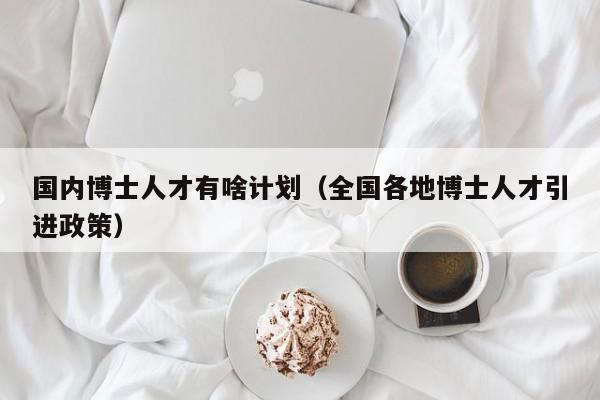国内博士人才有啥计划（全国各地博士人才引进政策）-第1张图片-博士人才招聘网