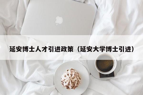 延安博士人才引进政策（延安大学博士引进）-第1张图片-博士人才招聘网
