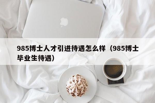 985博士人才引进待遇怎么样（985博士毕业生待遇）-第1张图片-博士人才招聘网