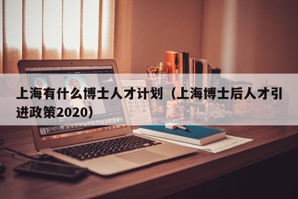 上海有什么博士人才计划（上海博士后人才引进政策2020）-第1张图片-博士人才招聘网