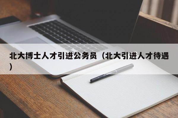 北大博士人才引进公务员（北大引进人才待遇）-第1张图片-博士人才招聘网