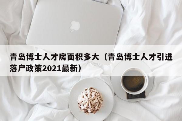 青岛博士人才房面积多大（青岛博士人才引进落户政策2021最新）-第1张图片-博士人才招聘网